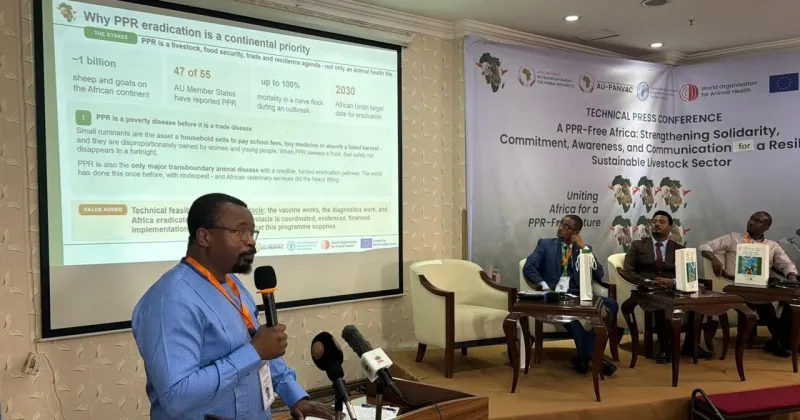 EU-Backed Programme Boosts Africa’s Fight Against PPR Disease