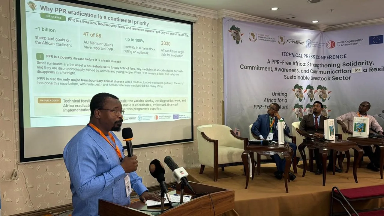 EU-Backed Programme Boosts Africa’s Fight Against PPR Disease