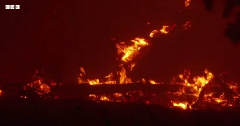 Tens of thousands evacuated from French tourist spot and near Madrid as wildfires spread
