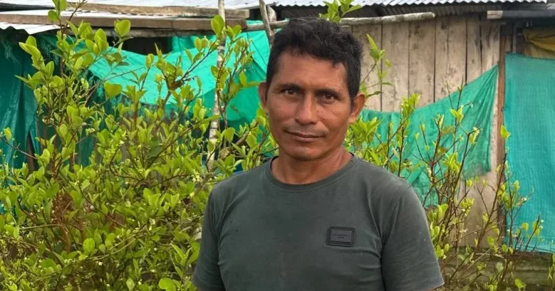 This farmer wanted to quit the cocaine industry – he couldn’t