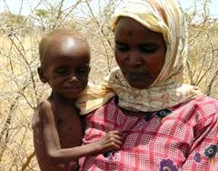 Study finds severe anaemia burden shifting to older children