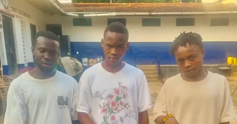 Police Arrest 90 Suspected Gang Members in Coast Security Crackdown