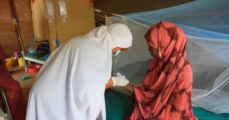 WHO approves new kala-azar treatment as Kenya prepares to adopt shorter, safer regimen