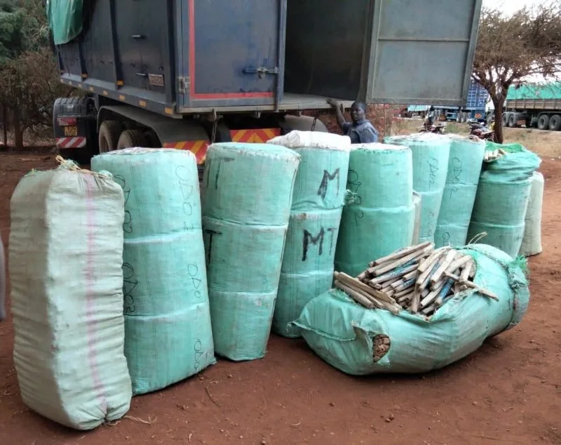 Two Arrested as Detectives Seize Sh24.7 Million Cannabis Haul in Voi