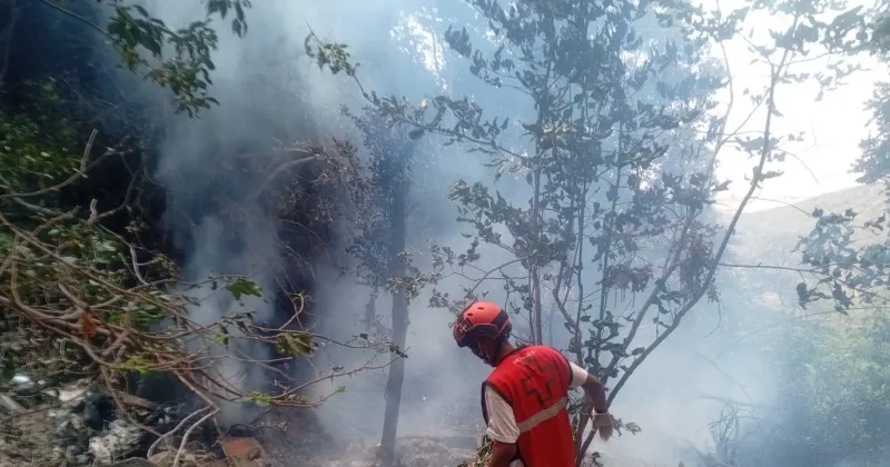 Difficult terrain, active fire hamper search and recovery efforts at Samburu helicopter crash site
