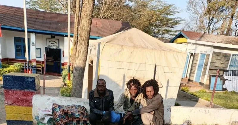 Three arrested as NANIB seizes Sh3.3 million cannabis in Narok