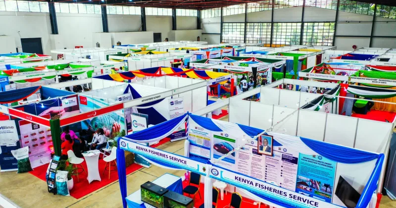 Inside Nairobi International Trade Fair 2026: What to see, learn and experience