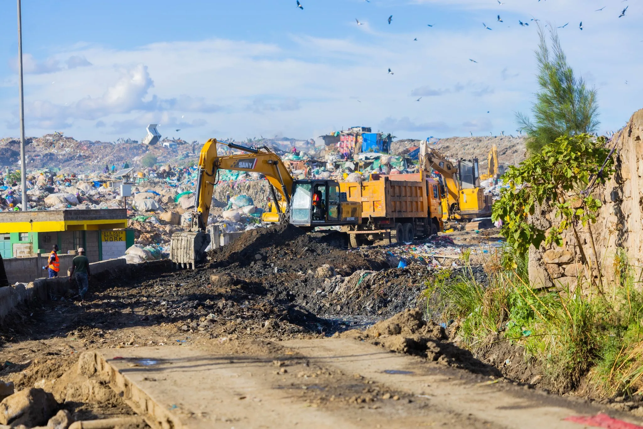 Dandora cleanup puts waste pickers at a crossroads as Nairobi overhauls garbage system