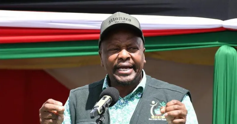 Govt cuts fertilizer and maize seed prices in new farmer subsidy