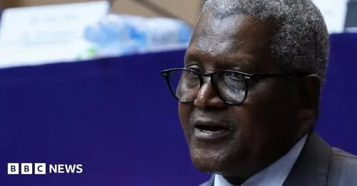 Africa’s richest man launches continent’s biggest share sale