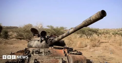 Seven Ethiopian rebel groups form new alliance