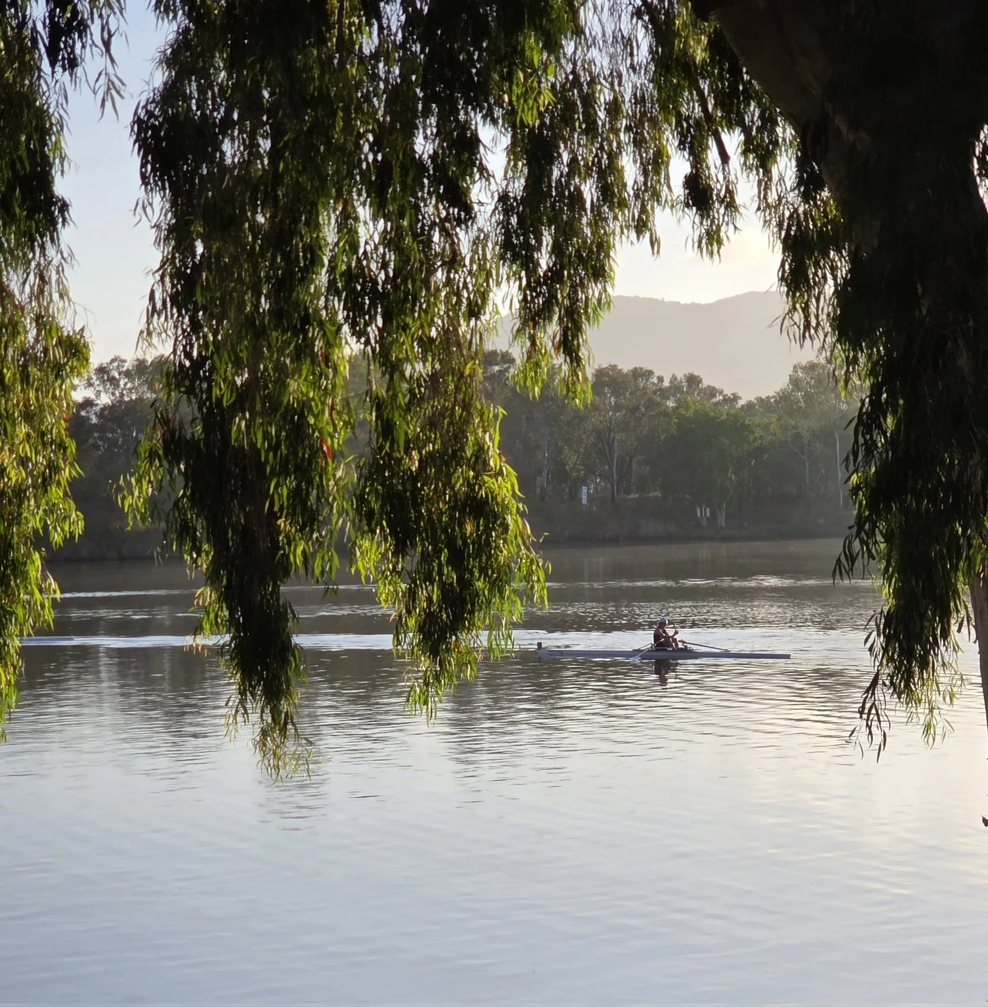 River home to 500 crocodiles chosen as Olympic rowing venue