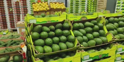 East Africa targets costly horticulture trade bottlenecks at Nairobi Summit
