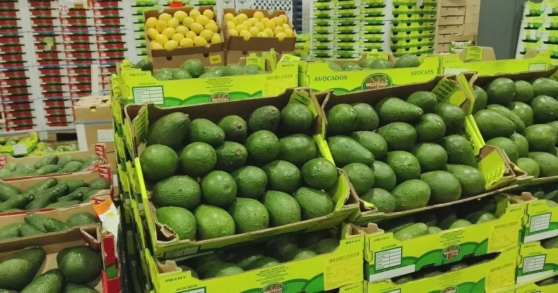 East Africa targets costly horticulture trade bottlenecks at Nairobi Summit