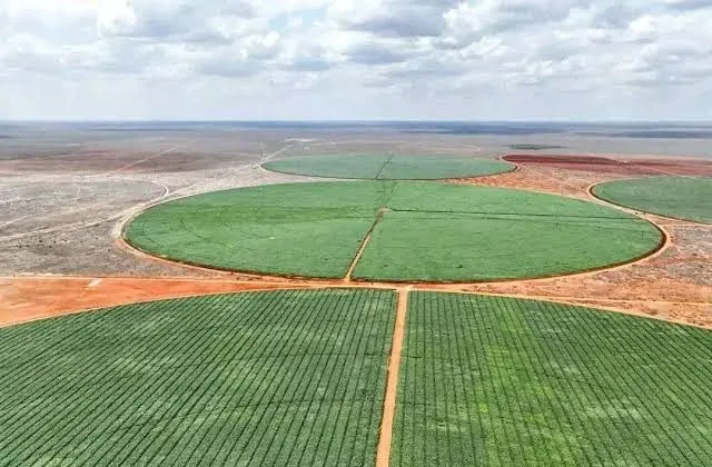 Two-month deadline set to resolve Galana-Kulalu boundary dispute