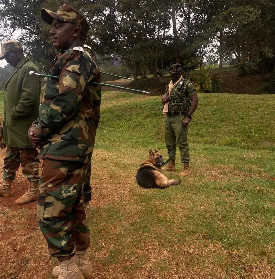 Section of Muthaiga Golf Club Course closed after KFS claims it’s within Karura Forest boundary