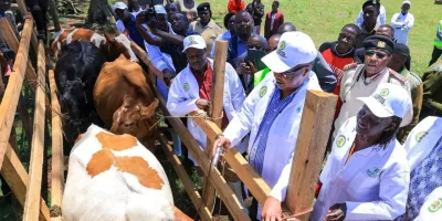 Nyaribo launches Sh36.4mn farmer grants, FMD vaccination targeting 113,800 cattle