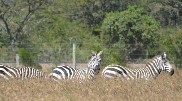 KWS opens tourism investment opportunities in National Parks