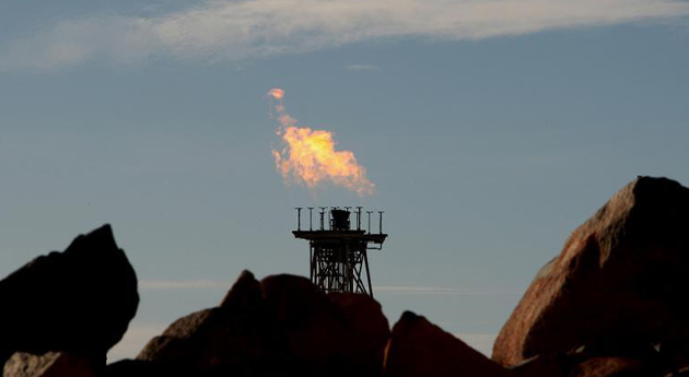 OPEC+ to continue to pause oil output increase in March