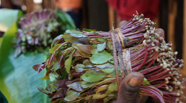 Nairobi County begins construction of miraa market in Ziwani