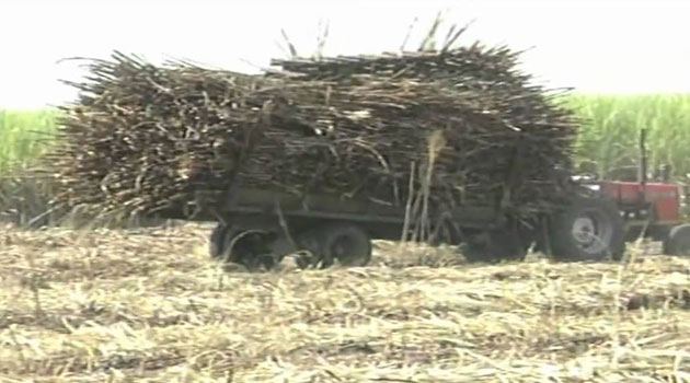 Nzoia Sugar to resume operations after Sh500mn government bailout