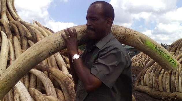 29 African nations meet in Switzerland to discuss ivory trade ban