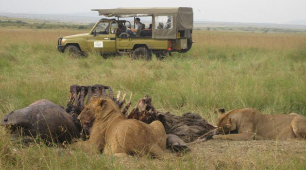 Kenyans to enjoy free access to game parks and reserves on Saturday