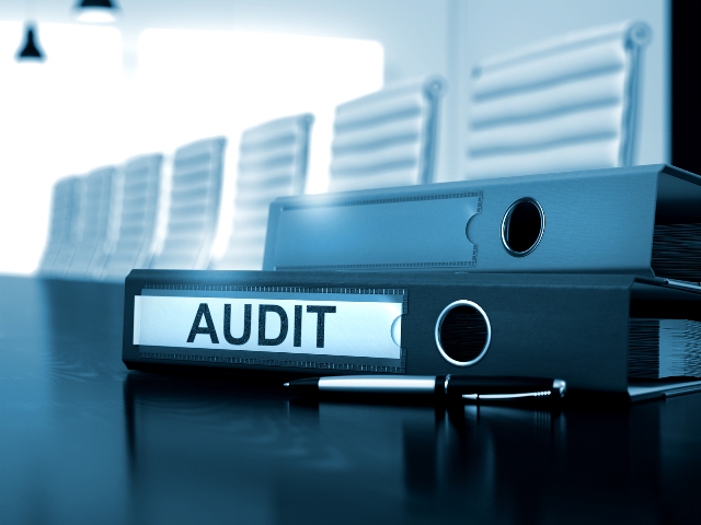 How internal audit can support the fight against fraud
