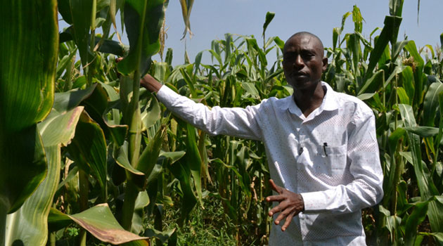 High Court temporarily stops CS Linturi’s Zambia maize deal