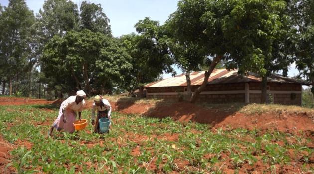 EUR 50Mn scheme to transform long-term investment in agriculture