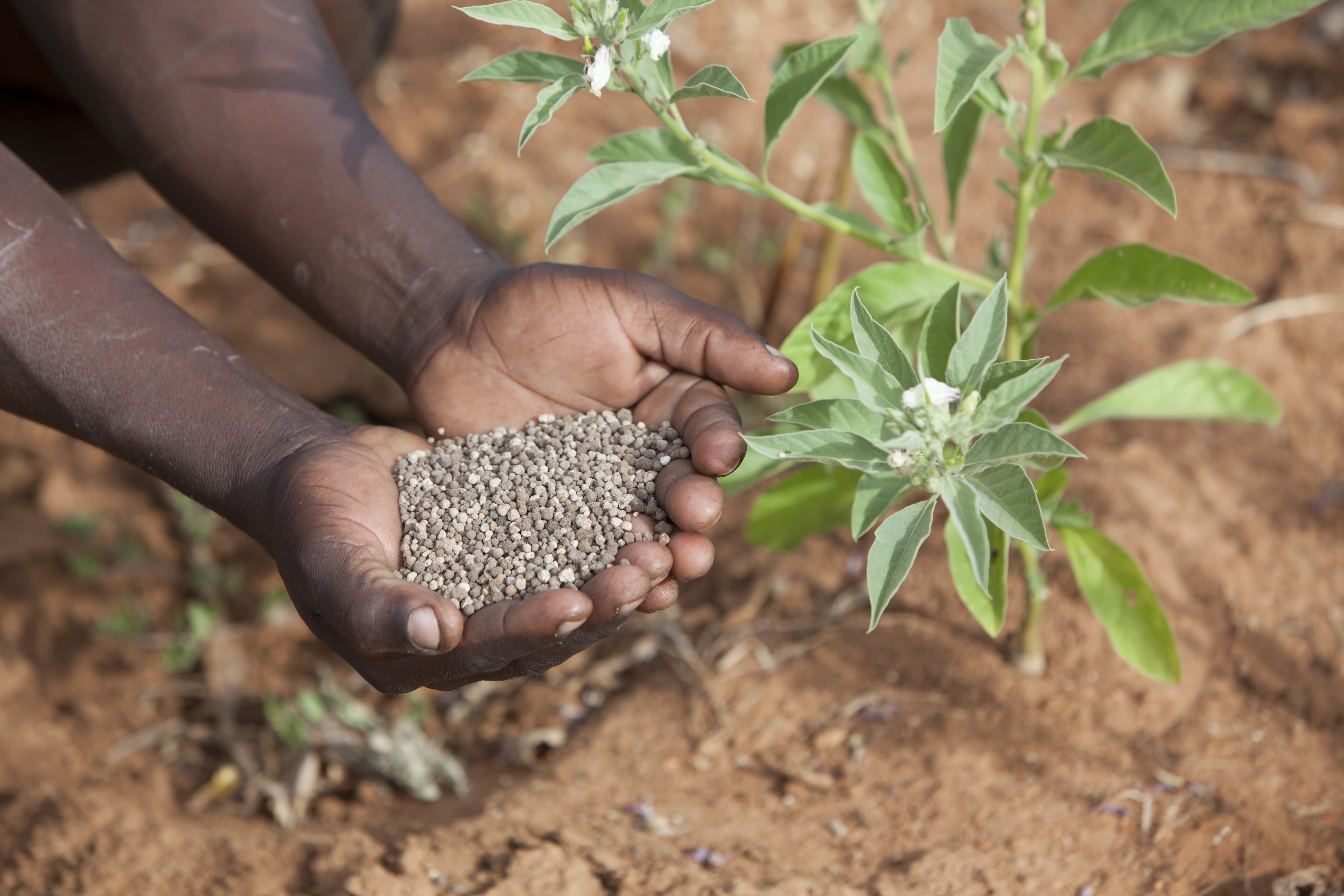 Farmers in Mt. Kenya to miss an annual  field training due to COVID-19