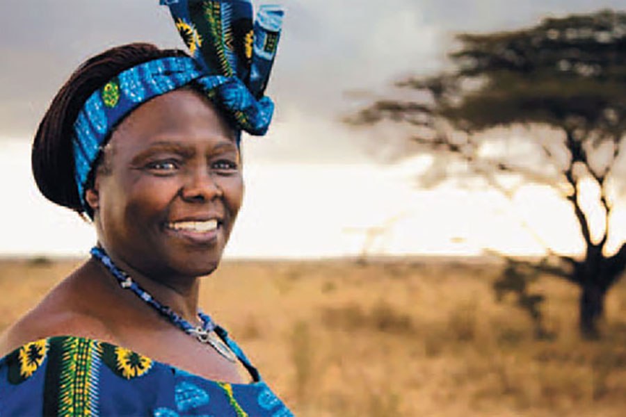 What if Wangari Mathai was alive as the world battles cOVID-19?