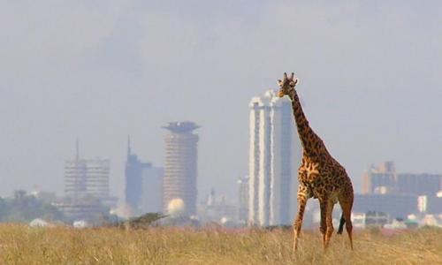 Nairobi named only African city in prime global cities index.