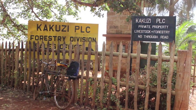 Kakuzi Plc issues profit warning