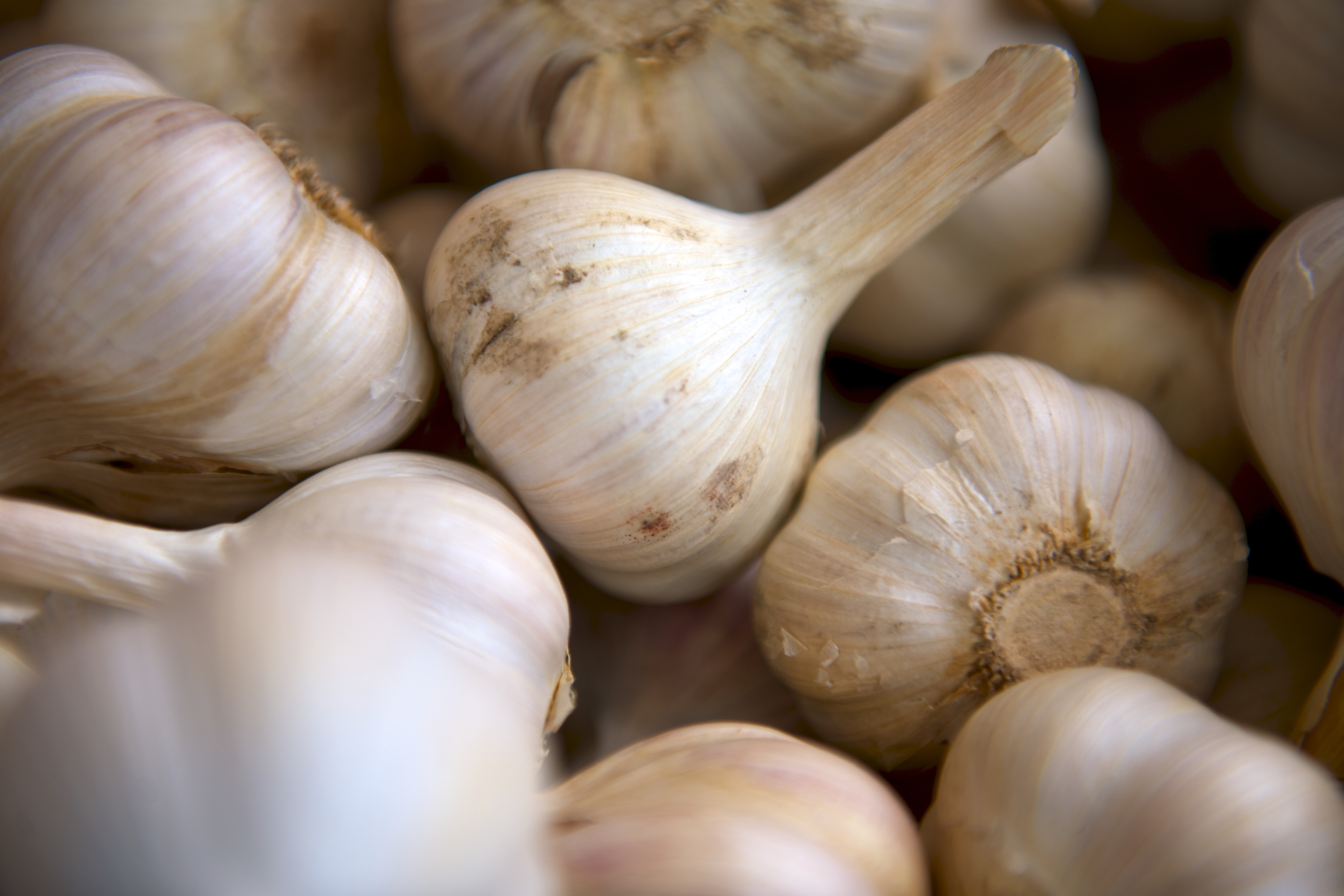 Farming: How Lack of Garlic Led One Man to Establish a Successful Business