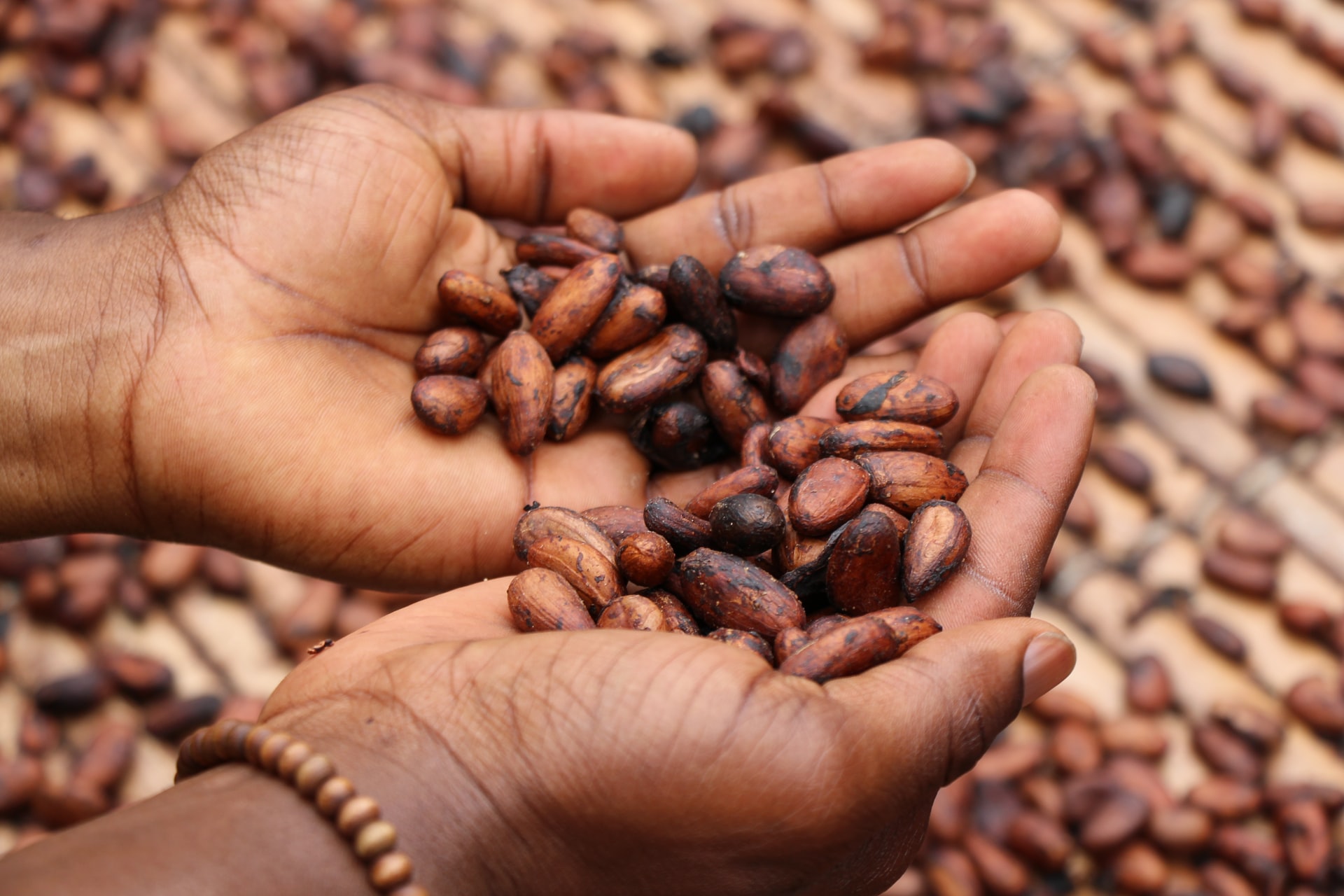 Coffee farmers worried that rainfall delay will affect production