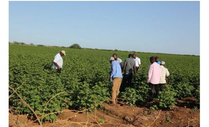 Multibillion-shilling irrigation project at risk of stalling over compensation