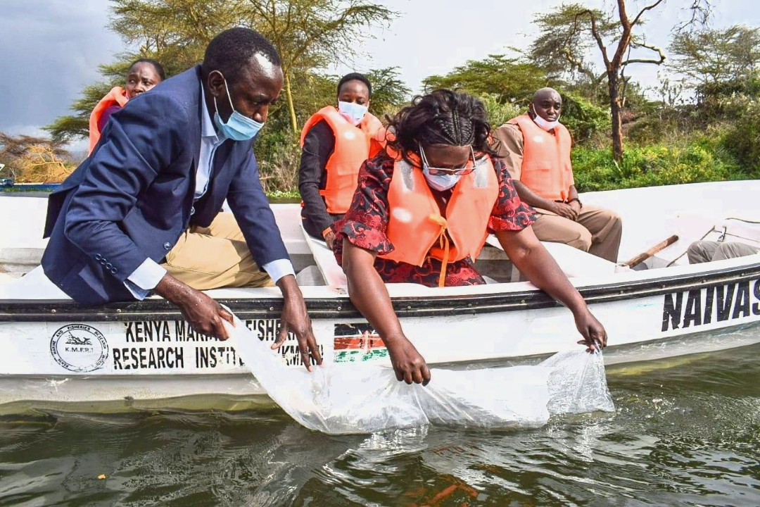 Gov’t sets up fingerlings breeding plant in Naivasha