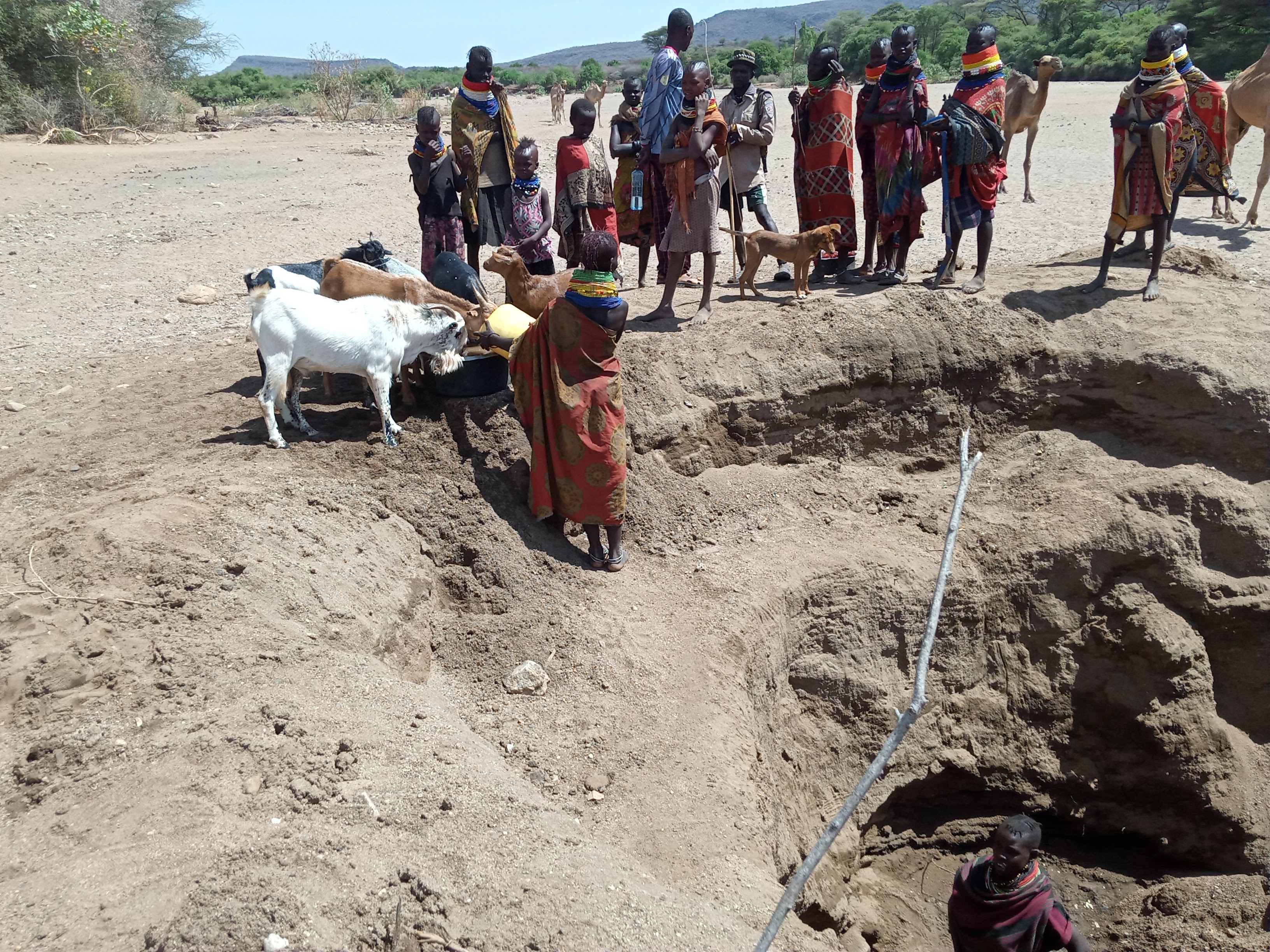 Gov’t paints grim picture over worsening drought situation in Turkana