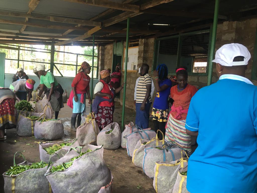 Fairtrade International to enhance market access for farmers and workers
