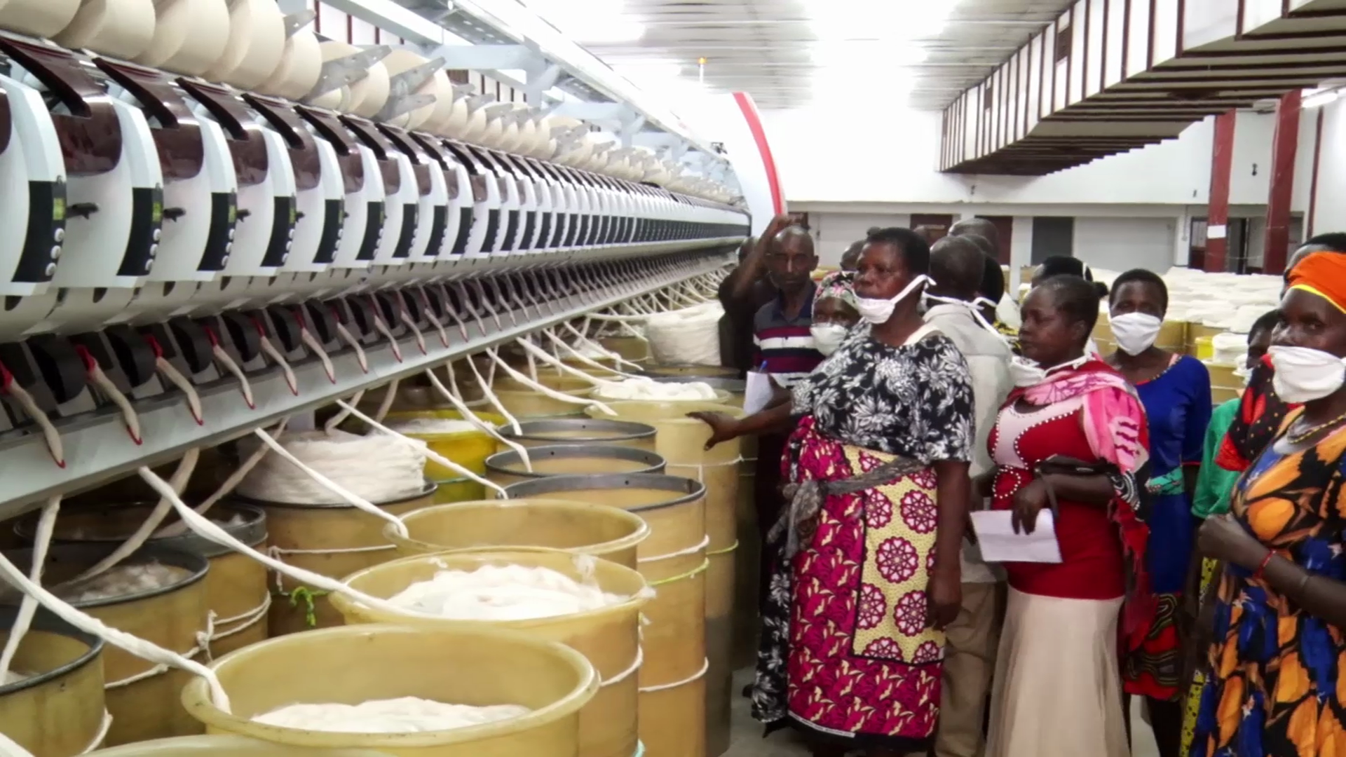 Kiambu firm reaps big from increased demand of quality fibre