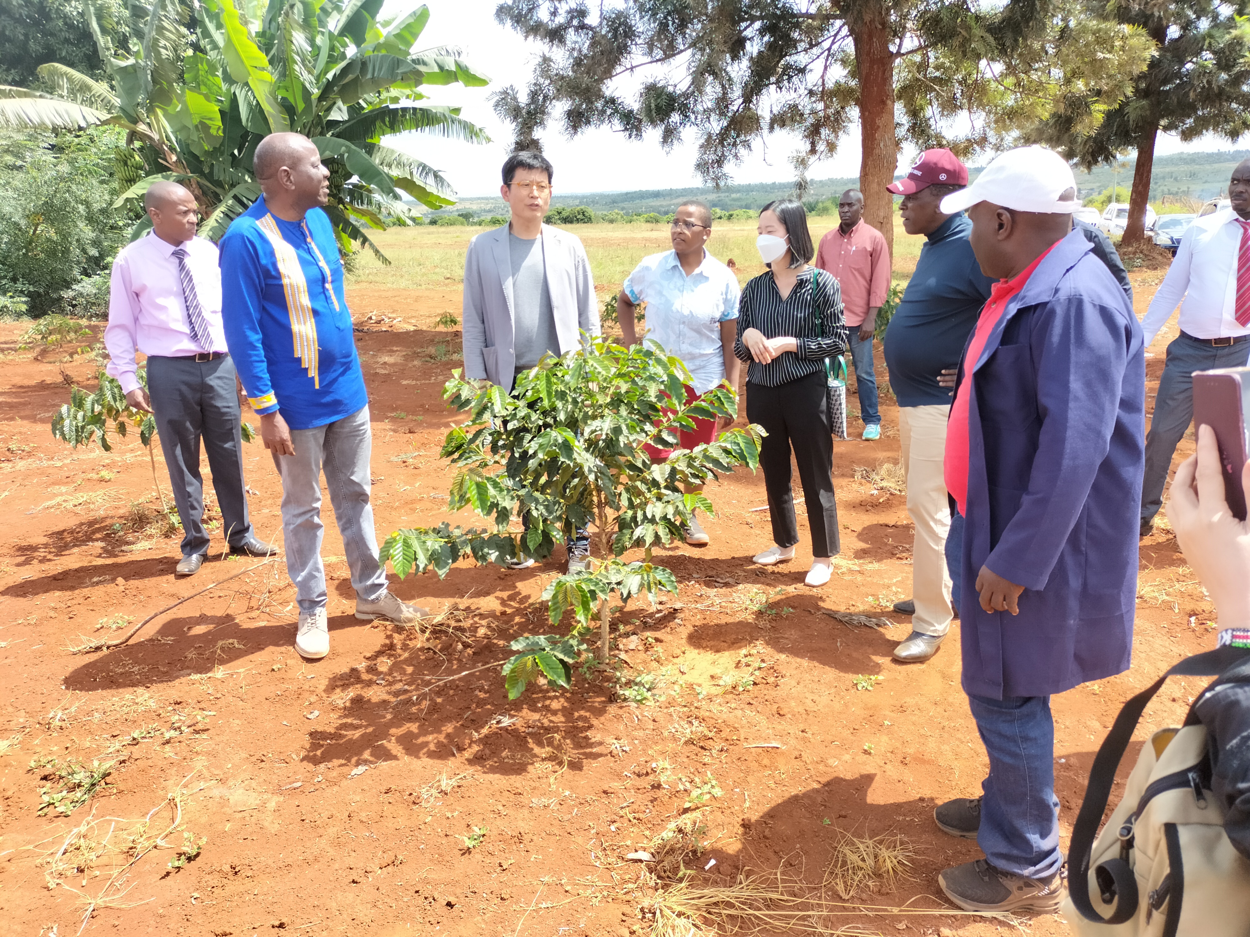Coffee farmers set to earn more with entry of direct buyers