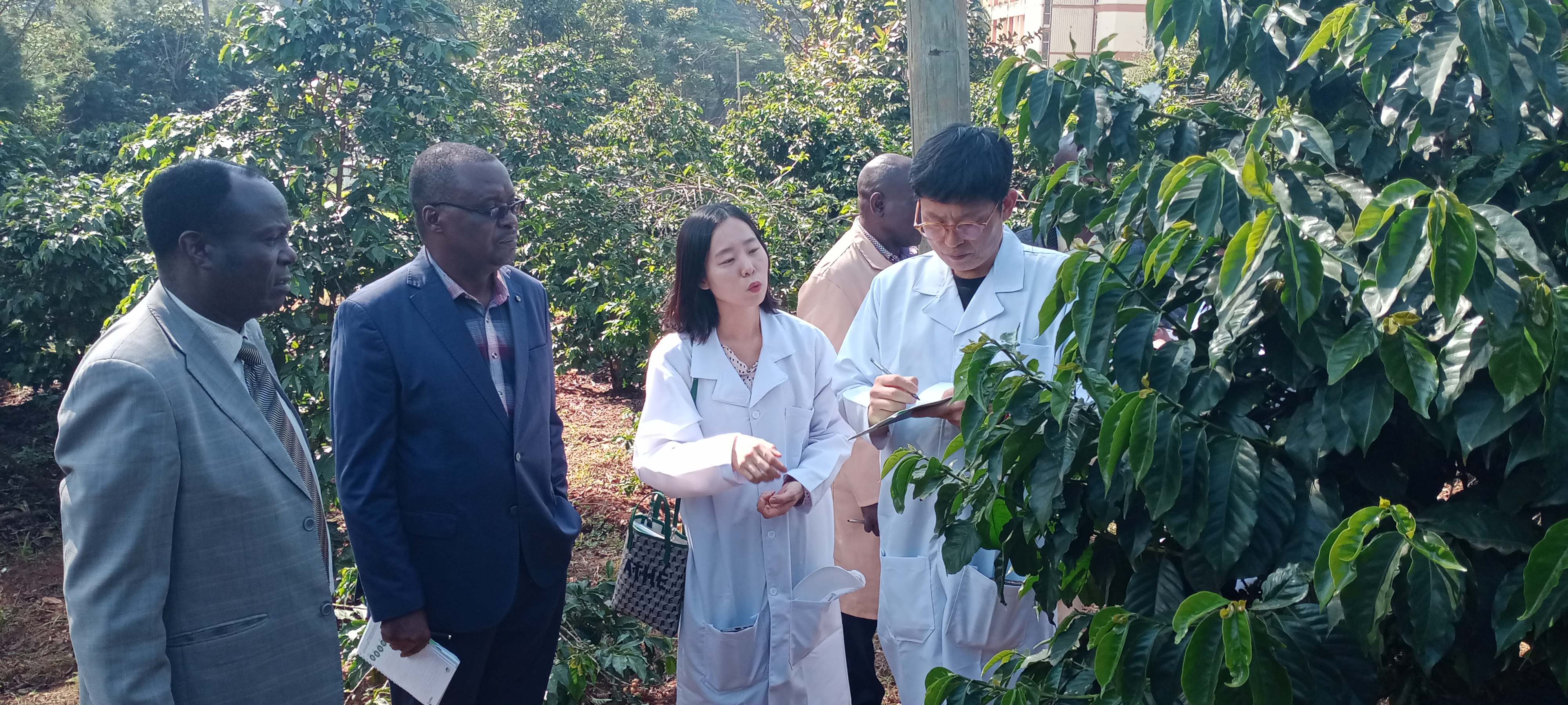 Farmers to reap big in direct access to global market