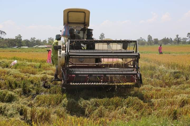 Lower Nzoia irrigation project to be completed in two months