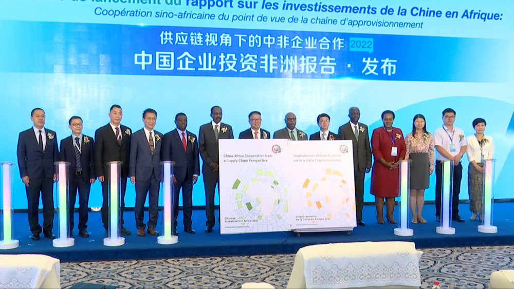 China investment supports African supply chain development: report