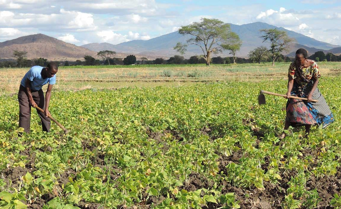 Migori Farmers urged to use organic fertilizers