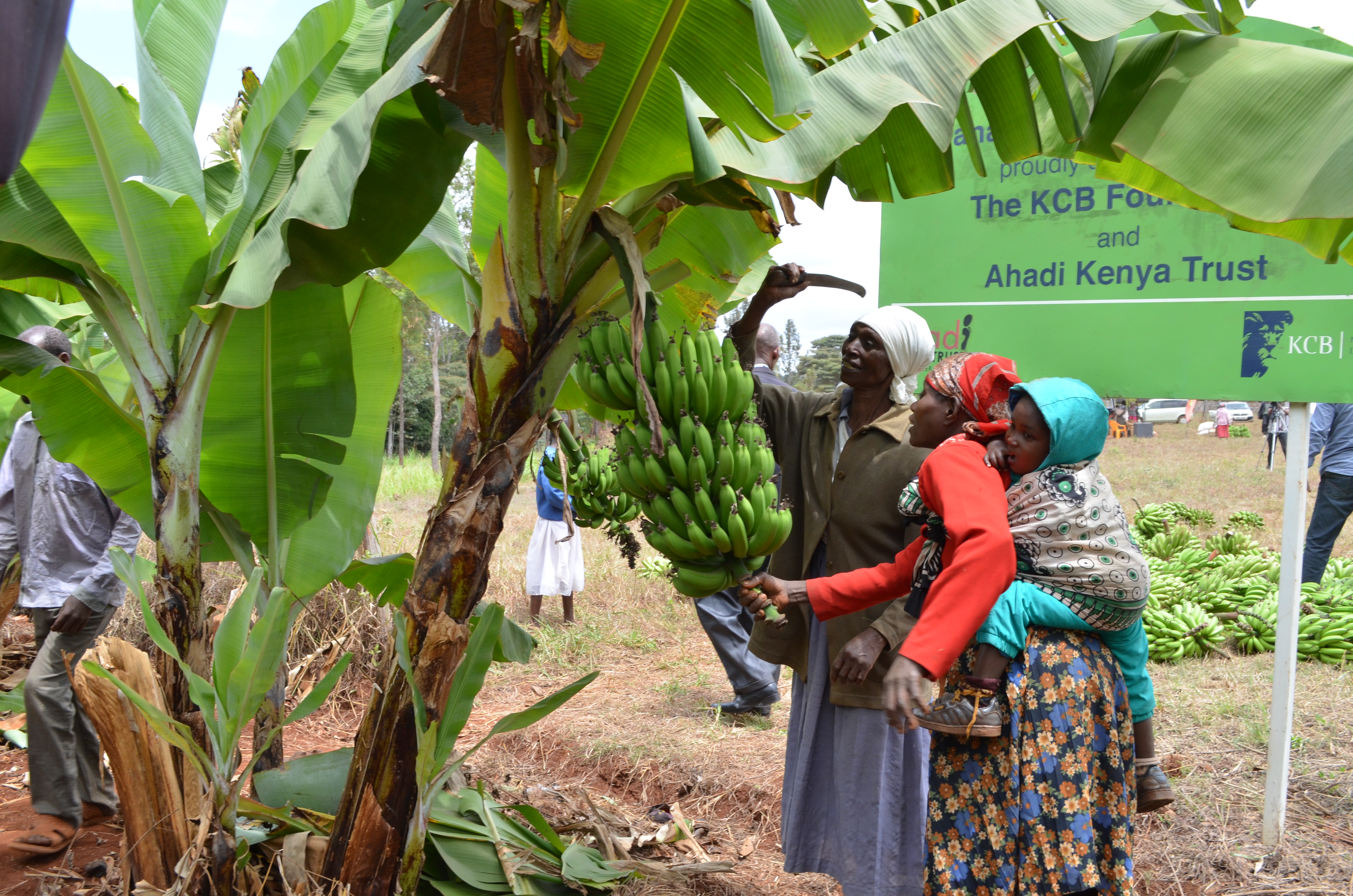 Govt’s farmer registration exercise registers over 4 million