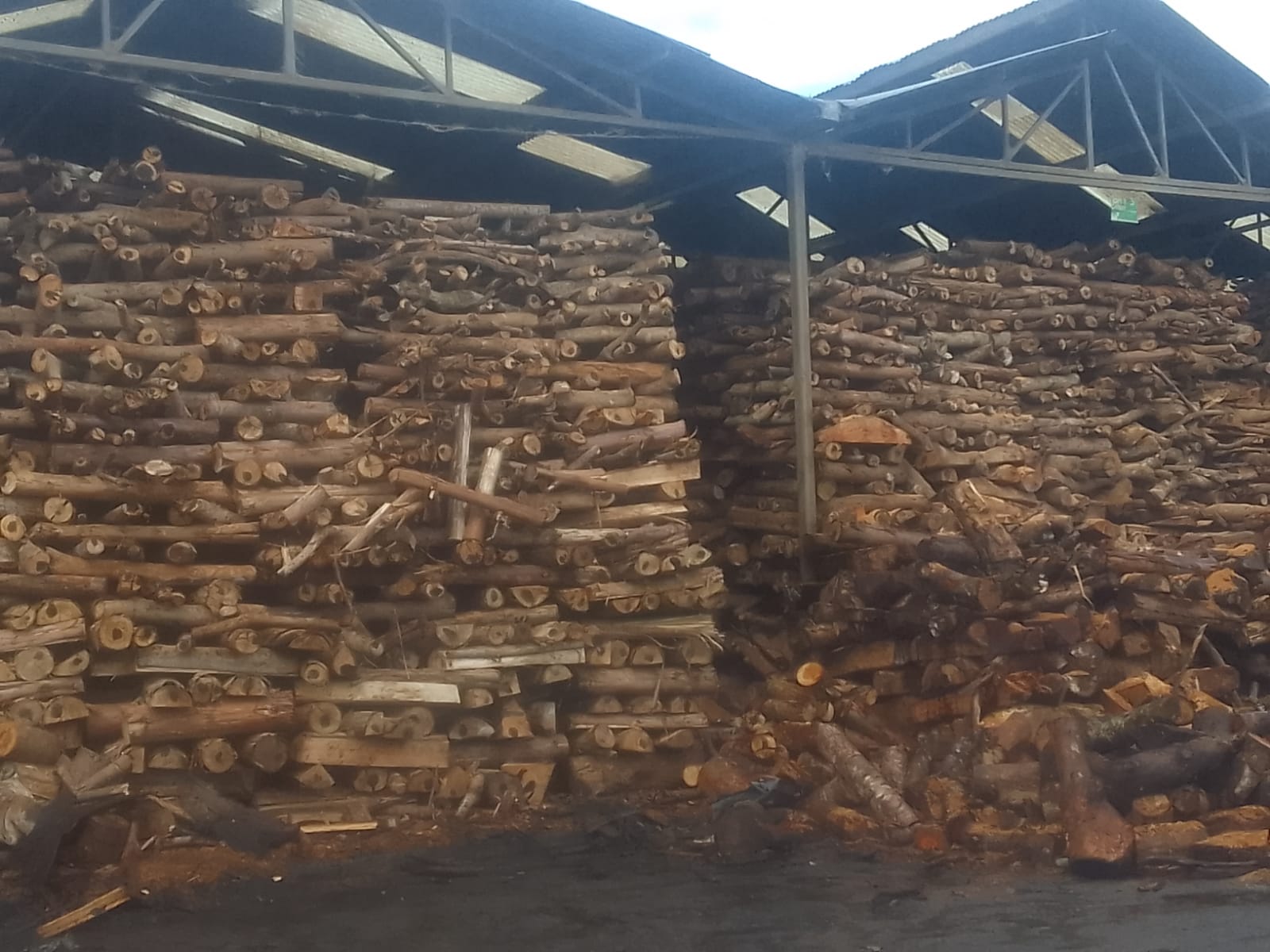 KTDA Muranga factories to replace firewood with electricity