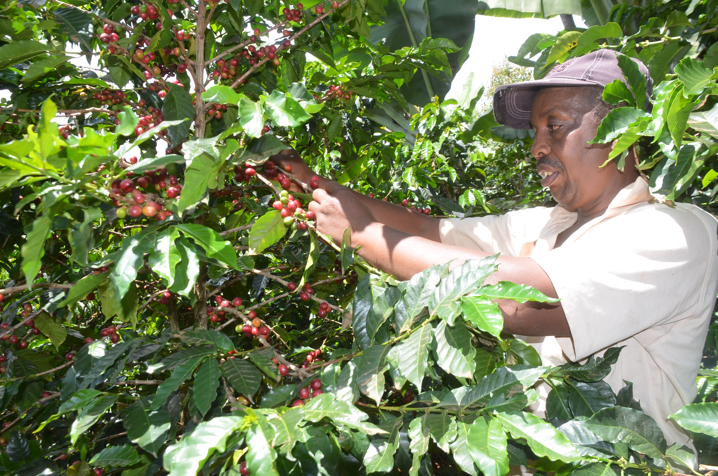 Manufacturers call for an overhaul of the agricultural sector