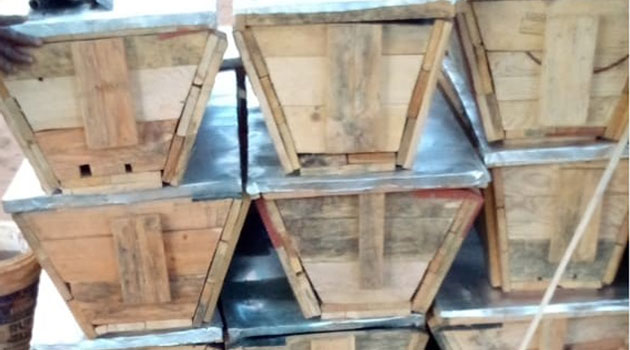 Taita women in artisanal mining diversify skillsets to beekeeping